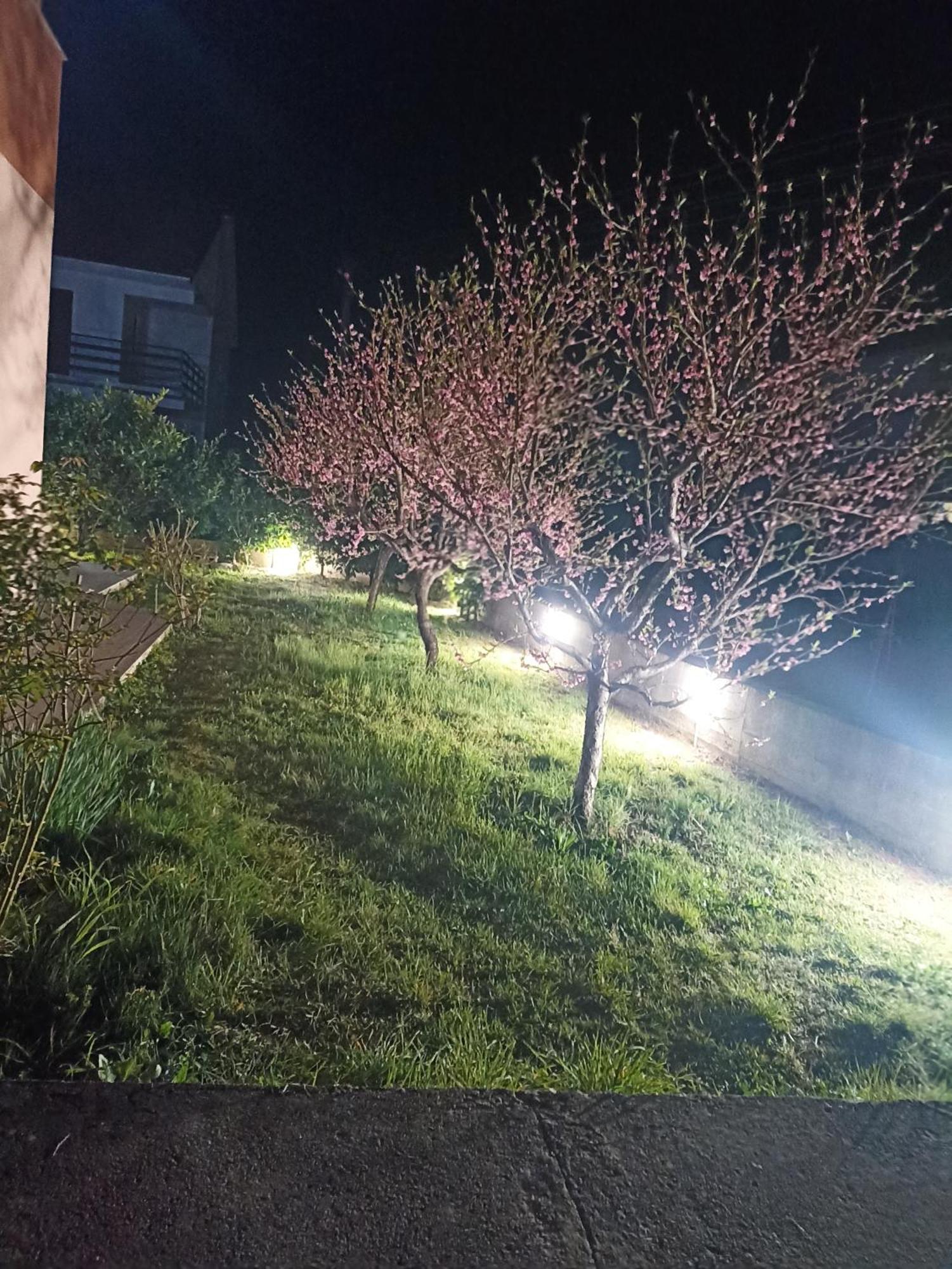 Apartmani Slado تريبينيي المظهر الخارجي الصورة